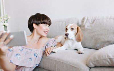 How to Set Up a Smart Pet Monitor